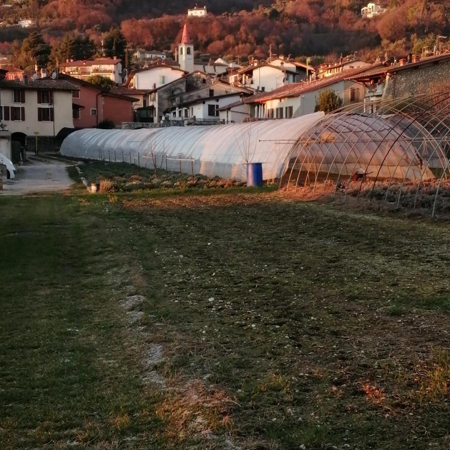 Agriturismo Corte Fontana App. Barbara Salò Exterior foto